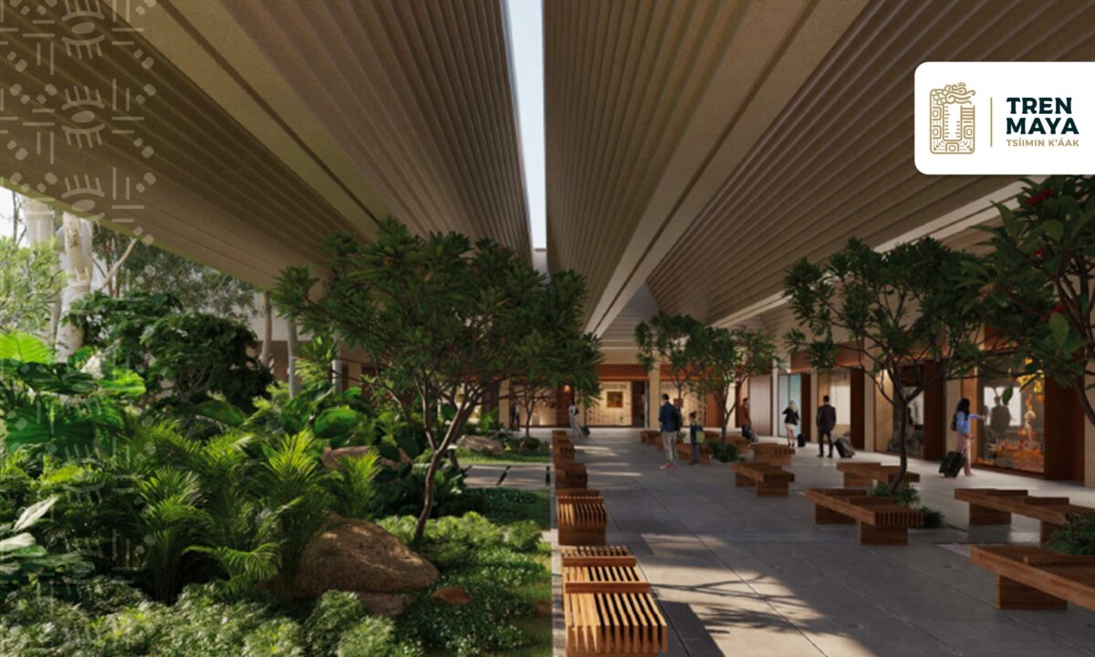 Interior, vegetación, naturaleza, arquitectura, diseño
